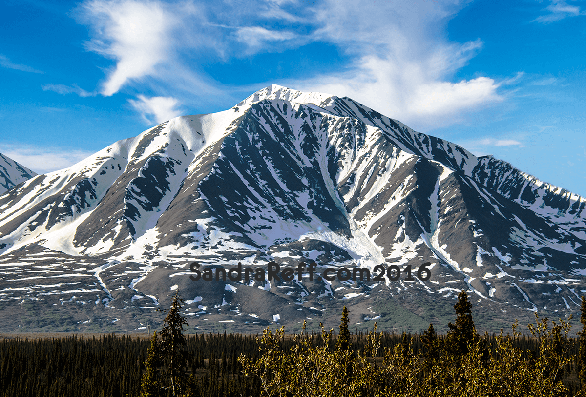 Gliclee print of Denali mountains