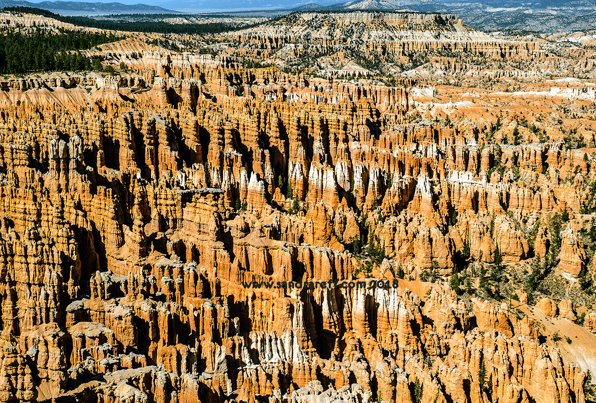 Glicee print of Sunrise Point hoodoos