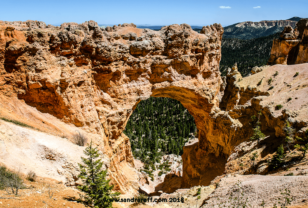 Glicee print of Natural Bridge